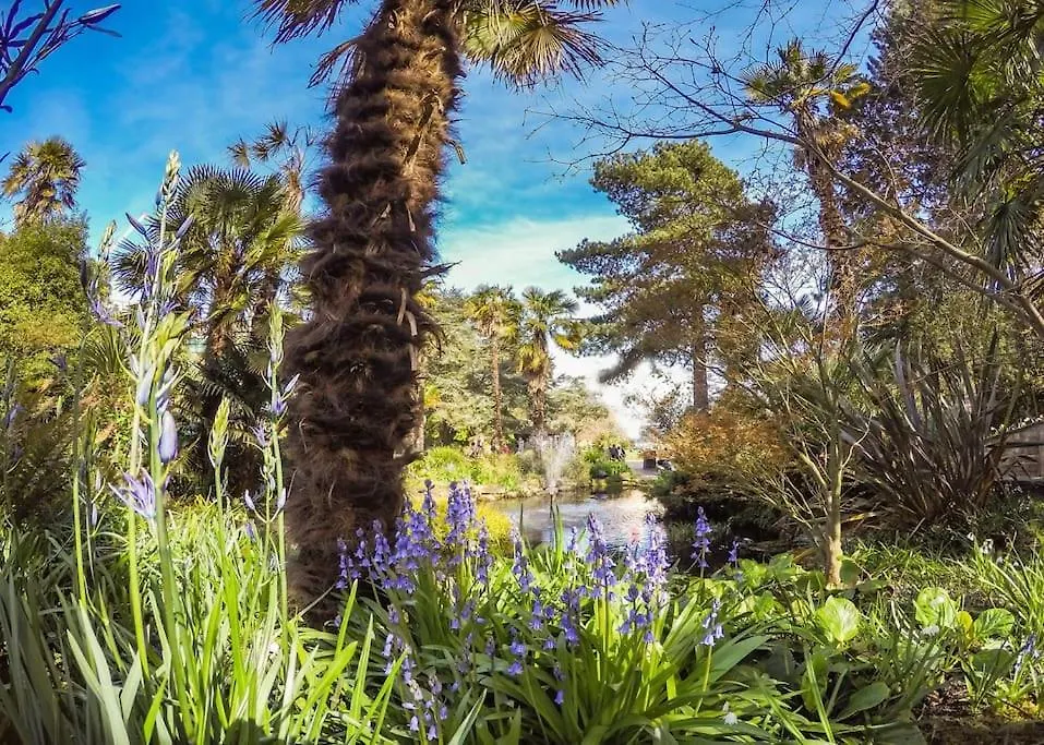 Bournecoast - Ground Floor Apartment Close To Sandy Beaches With Patio - Fm660 Bournemouth United Kingdom